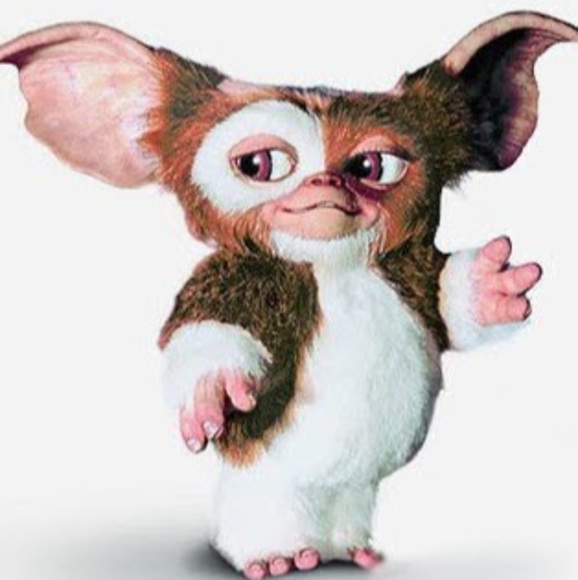 gizmo69885